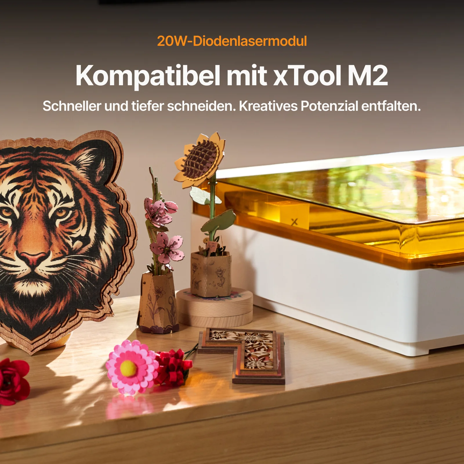 xTool M2 20W-Diodenlasermodul 455 nm - Image 4